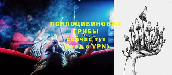 spice Балабаново